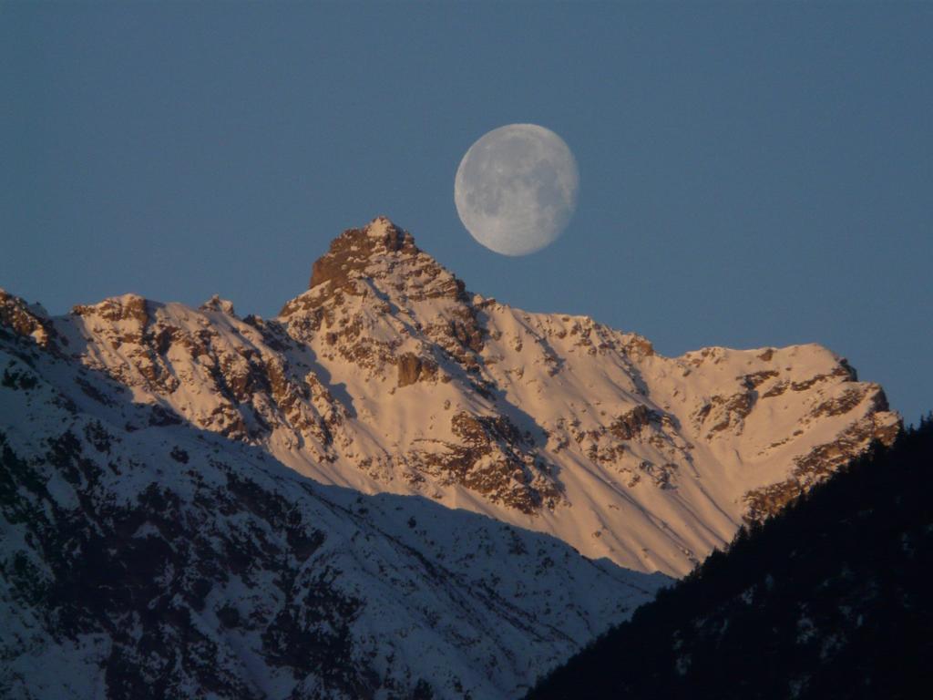 Pension Schoepf Arzl im Pitztal Εξωτερικό φωτογραφία